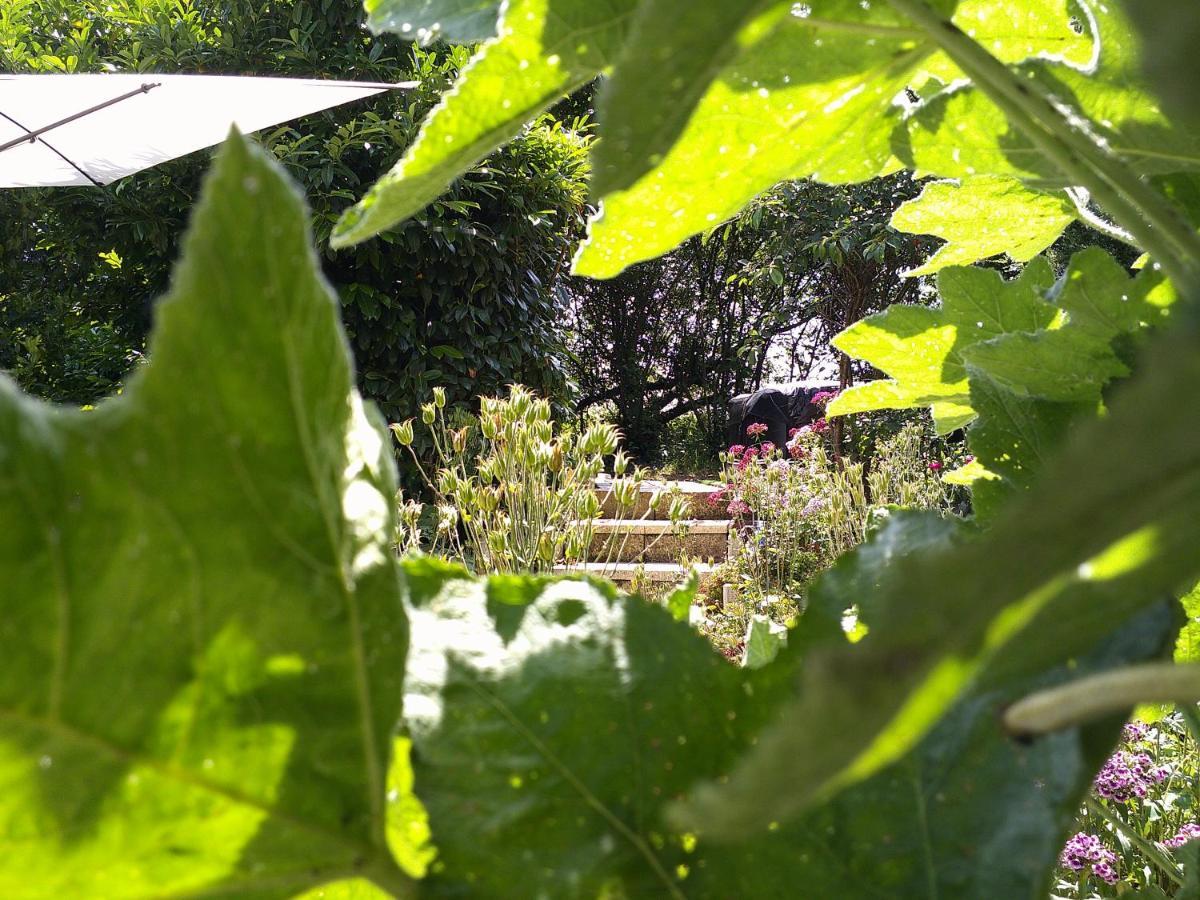 The Cherries Houehdeu Naizin Bagian luar foto